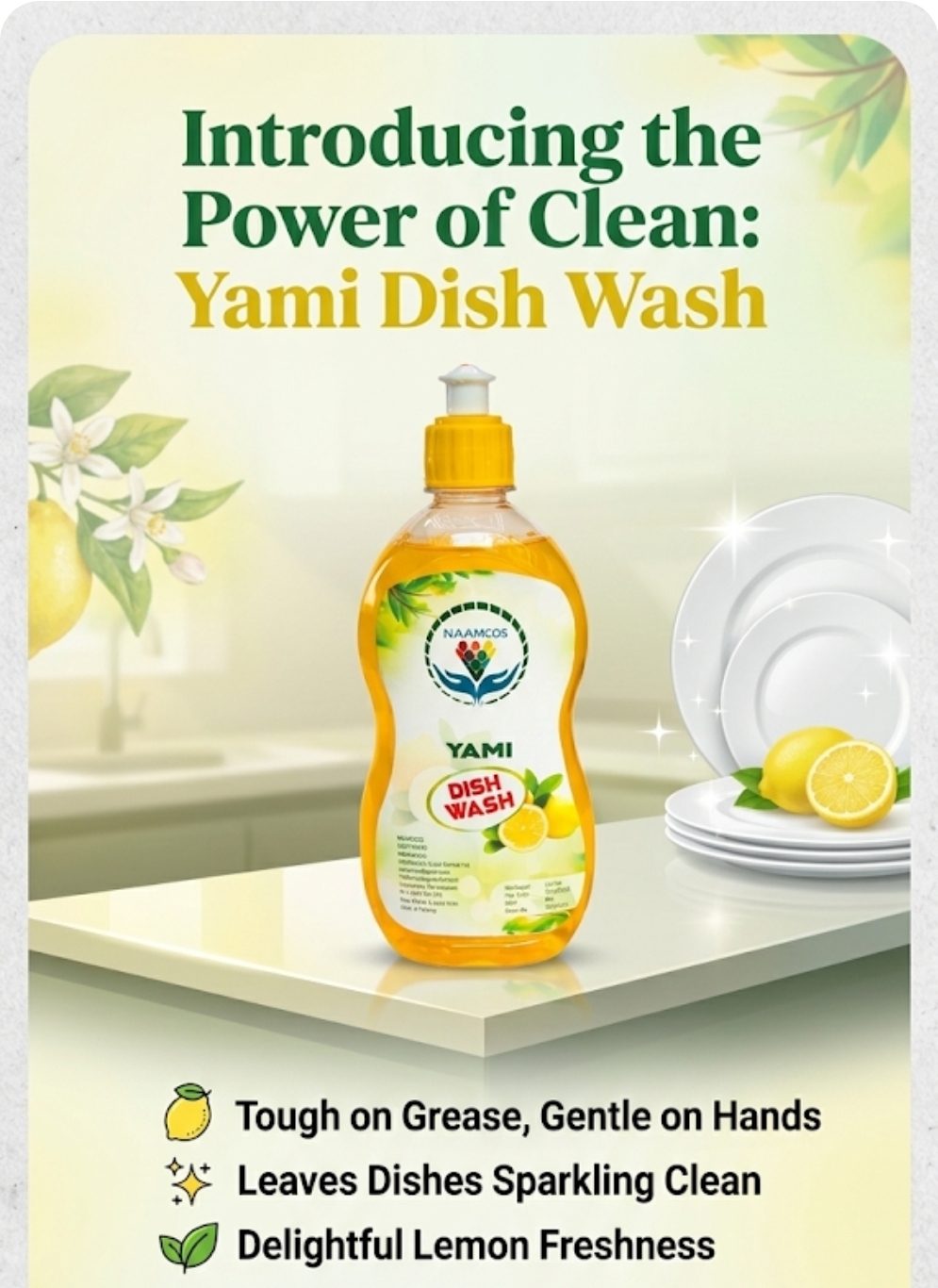 DISH WASH 500ML